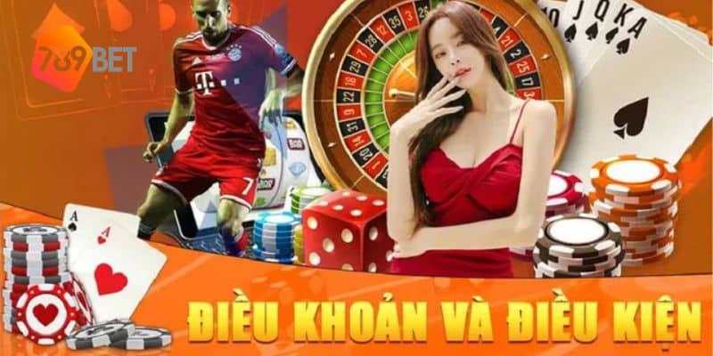 Điều kiện điều khoản 3 Điều kiện điều khoản