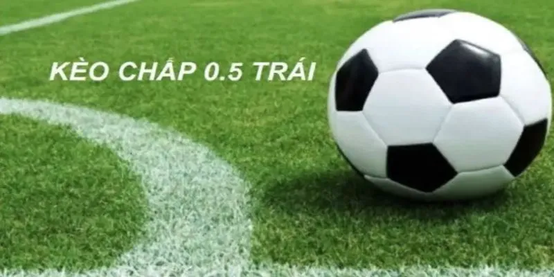 SHBET Kèo Chấp Nửa Trái - Hướng Dẫn Chơi Hiệu Quả Cao 2 Kèo chấp nửa trái là gì