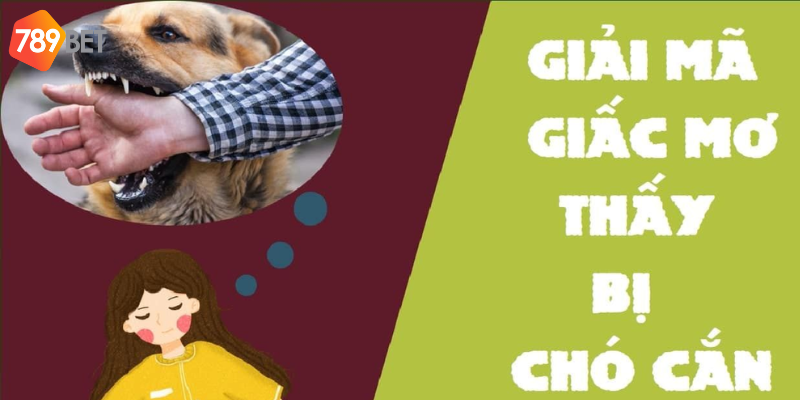 Nằm Mơ Thấy Chó Cắn Điềm Báo Gì? Tìm Hiểu Ý Nghĩa Với 789bet 2 Nằm mơ thấy chó cắn và cơ hội lô đề với 789bet