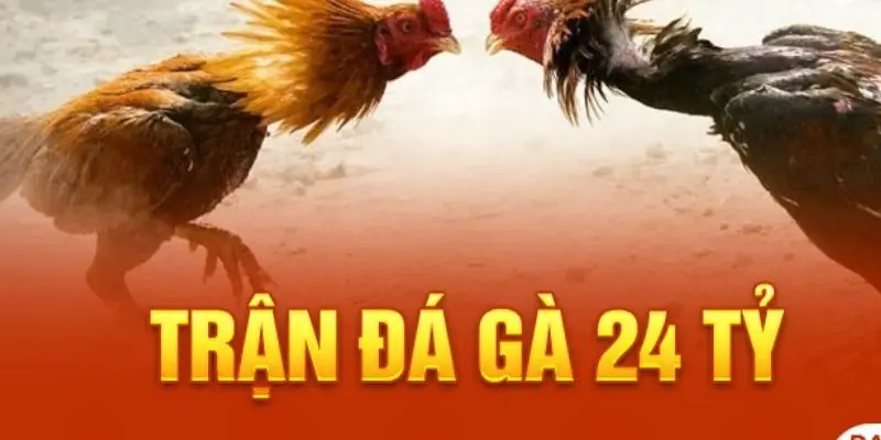 Trận Đá Gà 24 Tỷ: Cách Xem Và Dự Đoán Chính Xác Các Trận Đấu 2 Thế nào là trận gà đá 24 tỷ