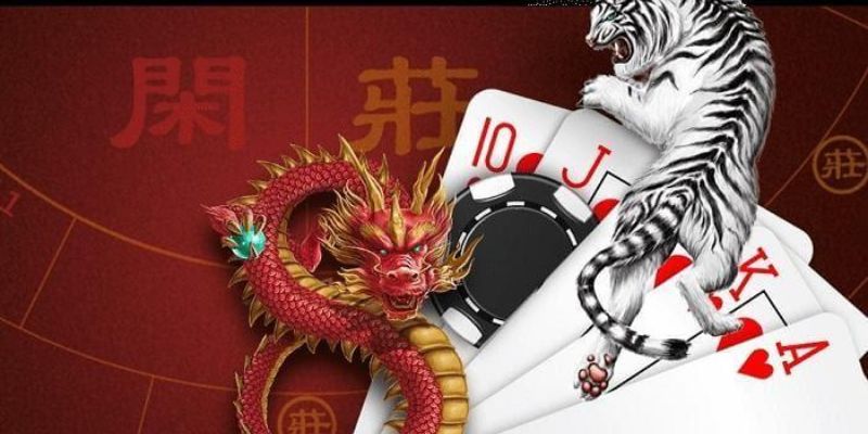 Kỹ Thuật Chơi Rồng Hổ – Mẹo Đánh Hiệu Quả Cho Người Mới 4 Các bước tiến tới thành công