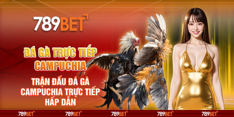 Đá gà trực tiếp Campuchia – Trận đấu đá gà trực tiếp hấp dẫn