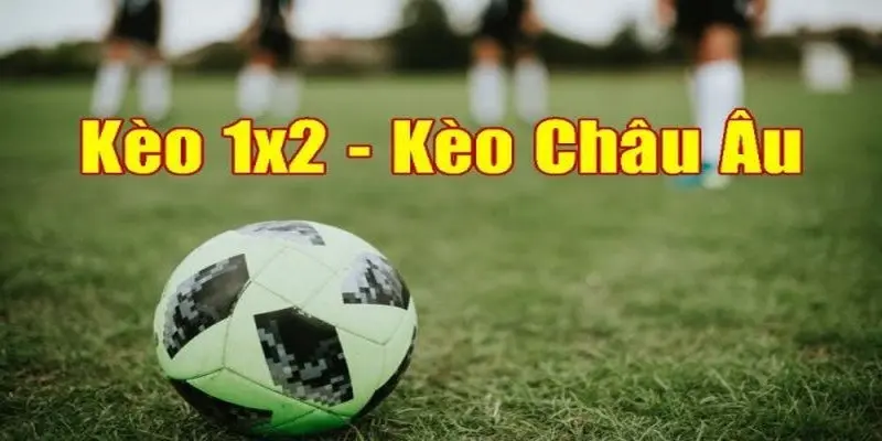 Kèo Châu Âu - Cách Tính Kèo Và Chiến Lược Cá Cược Hiệu Quả 2 Thông tin cơ bản hội viên cần biết về kèo Châu Âu
