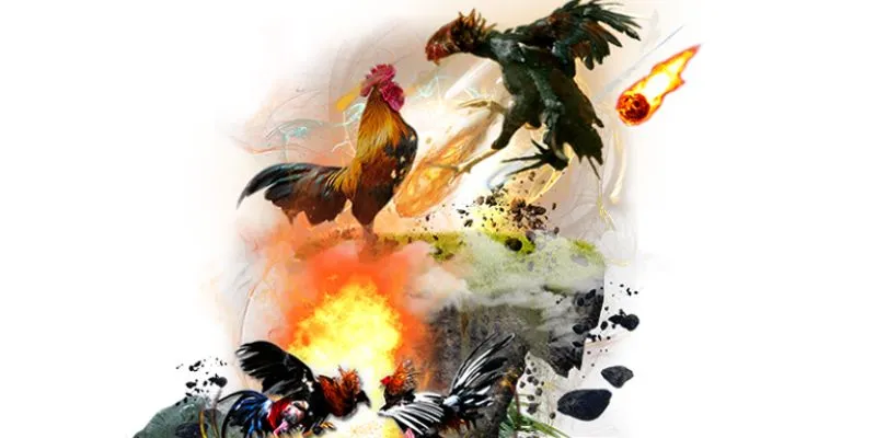 Trực tiếp đá gà Thomo: Những trận đấu đỉnh cao không thể bỏ lỡ 4 Mẹo hay giúp trực tiếp đá gà thomo hiệu quả